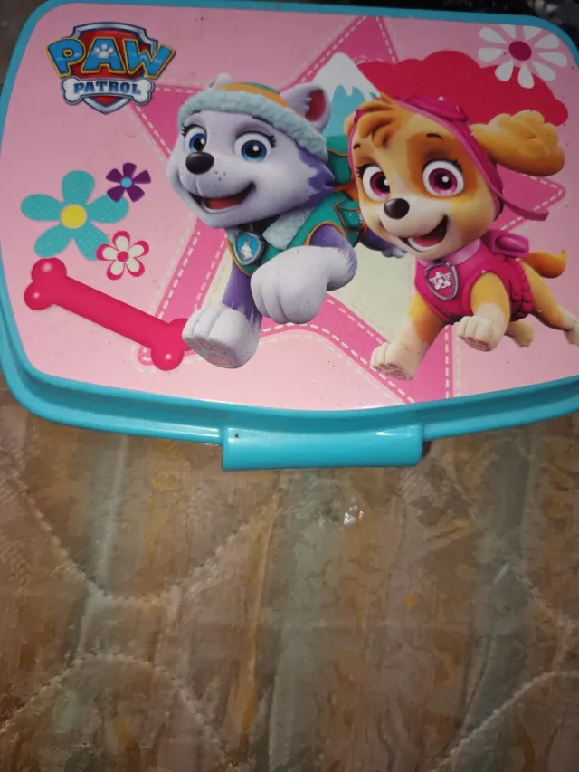 Lonchera Patrulla Canina