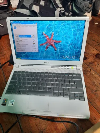 Portátil Sony Vaio Plata/Blanco