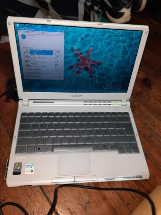 Portátil Sony Vaio Plata/Blanco