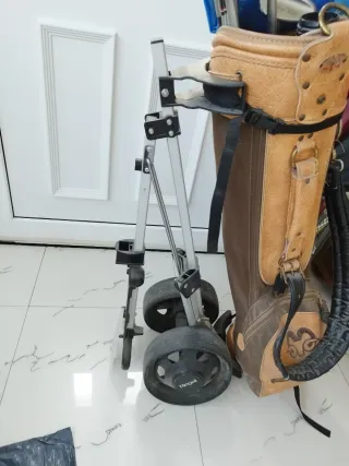 Bolsa de golf vintage con palos pro