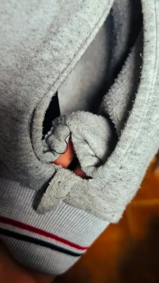 Sudadera Majestic Yankees Gris Roja