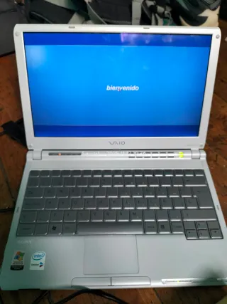 Portátil Sony VAIO Plata/Blanco