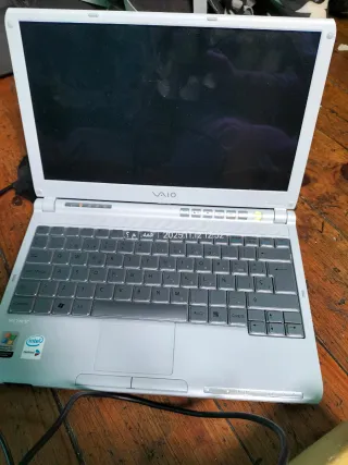 Portátil Sony VAIO Plata/Blanco