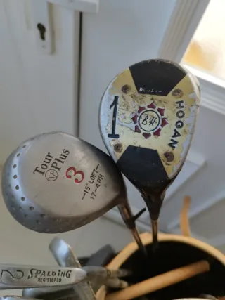 Carrito de Golf Plegable