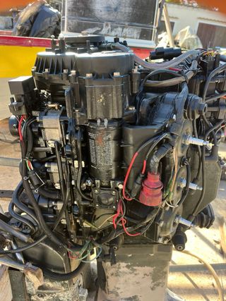 Fueraborda Johnson 150 Fast Strike