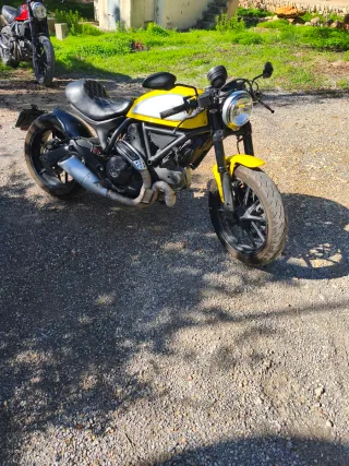 Ducati 803 Café Racer Amarilla