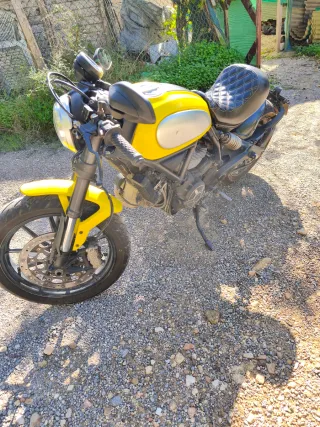 Ducati 803 Café Racer Amarilla