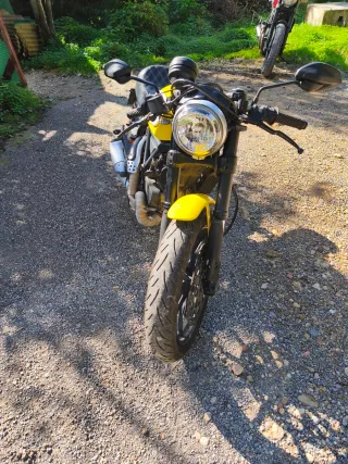 Ducati 803 Café Racer Amarilla