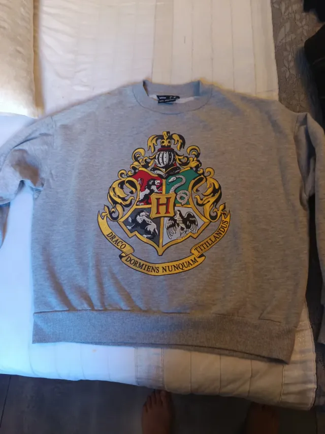 Lote Ropa Chico: Sudaderas, Camisetas y Chaqueta