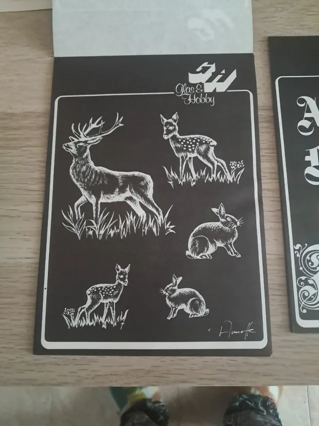 Láminas Grabado sobre Vidrio.