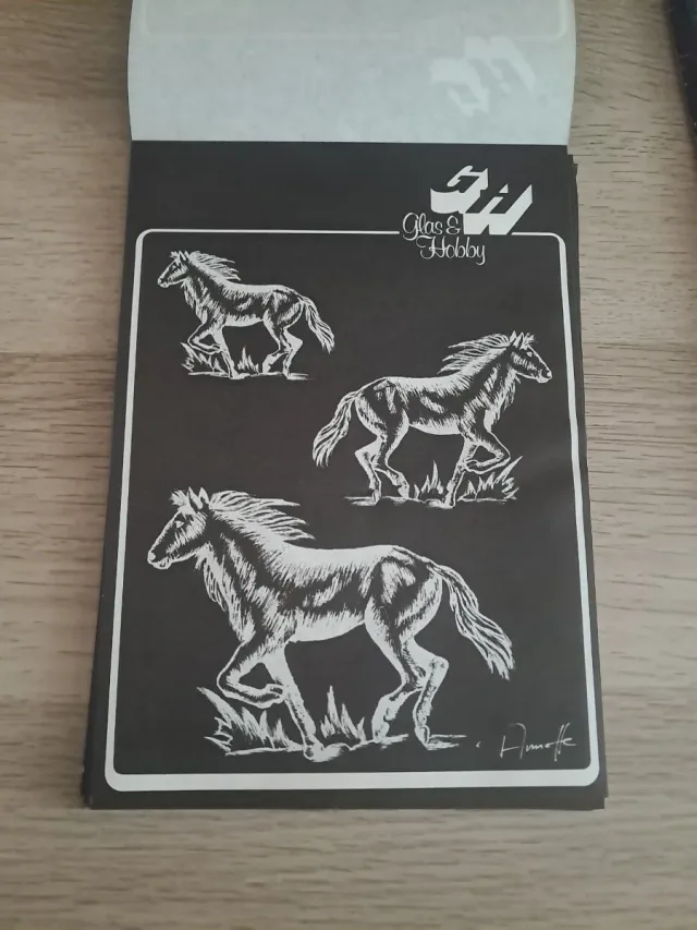 Láminas Grabado sobre Vidrio.