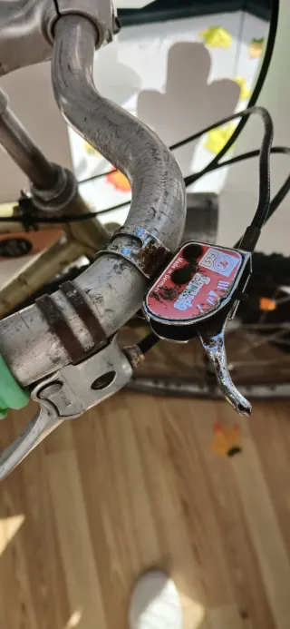 Bicicleta Vintage Razesa