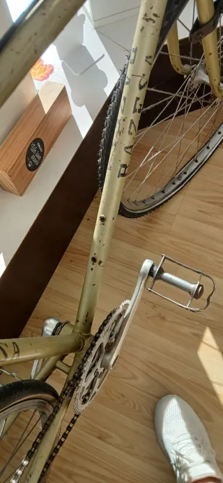 Bicicleta Vintage Razesa