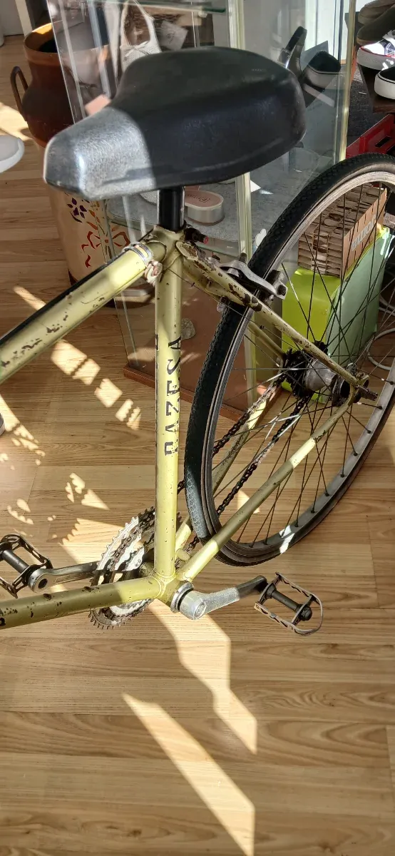 Bicicleta Vintage Razesa