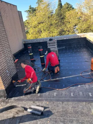 Tela Alfastilca Oficial de primera garantisado