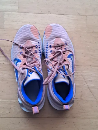 Zapatillas Baloncesto Nike Giannis Talla 42