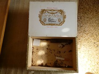 Caja de puros Flor de Farach vacía