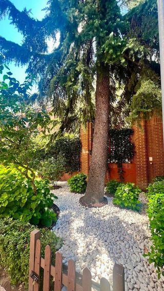 Piso en alquiler en Fuente del Berro en Madrid