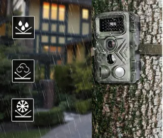 Cámara de Trampeo Camuflaje