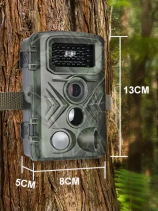 Cámara de Trampeo Camuflaje