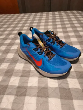Zapatillas Nike Trail Juniper 2 Azul/Rojo