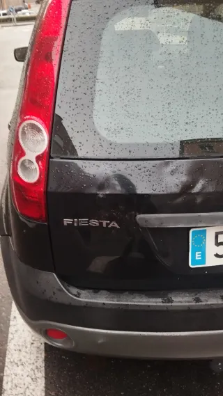 Ford Fiesta 2009 diesel con etiqueta B