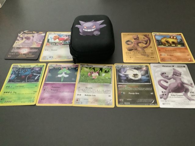 Lote Funda y Cartas Pokémon