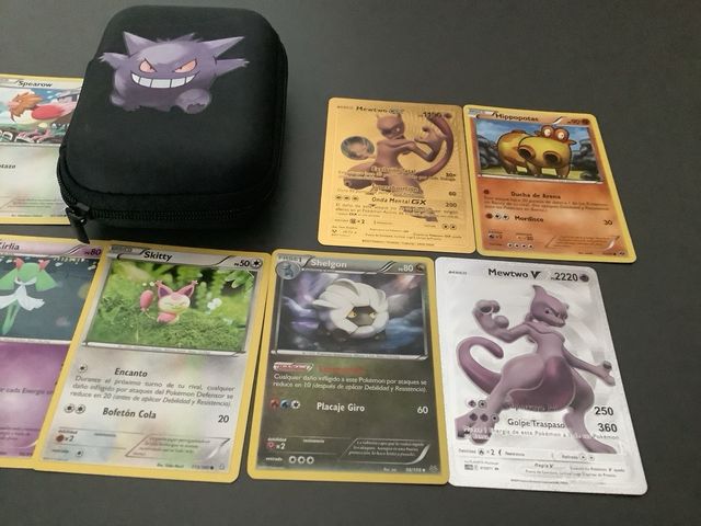 Lote Funda y Cartas Pokémon