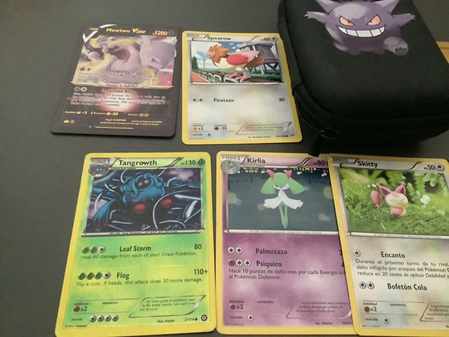 Lote Funda y Cartas Pokémon