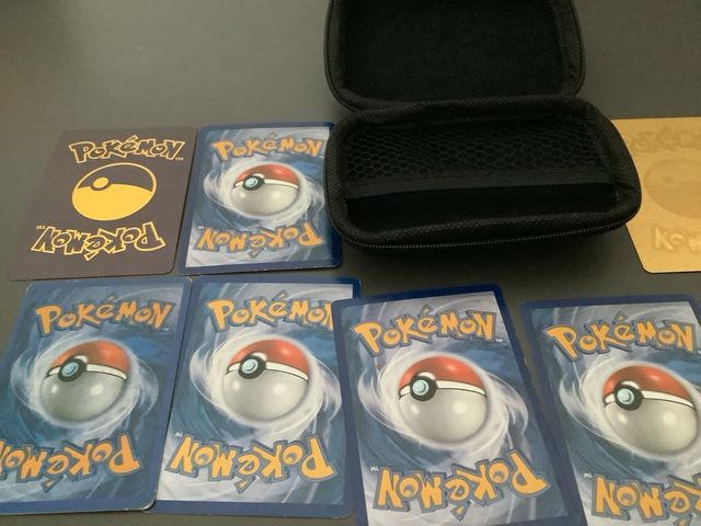 Lote Funda y Cartas Pokémon