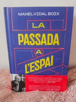 La Passada a l'Espai, Manel Vidal Boix