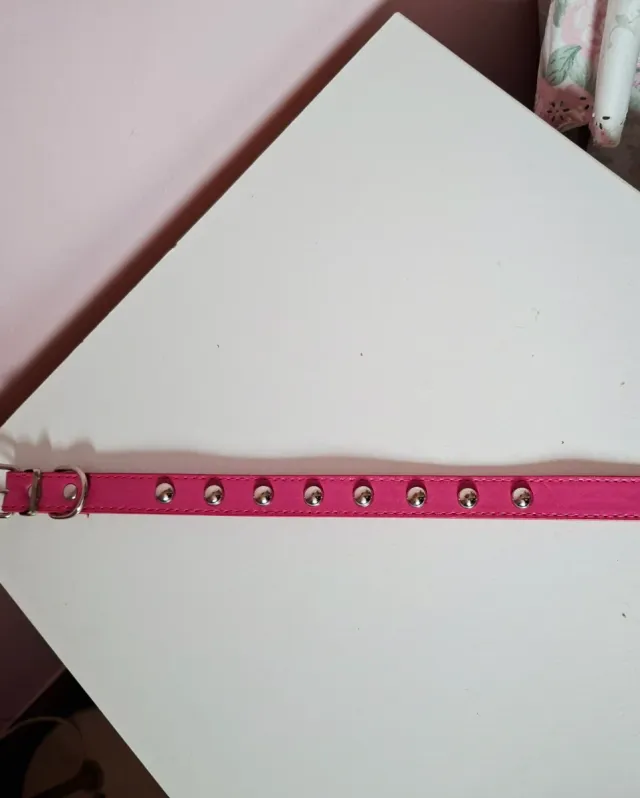 Correa para perro con tachuelas