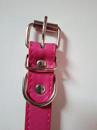 Correa para perro con tachuelas