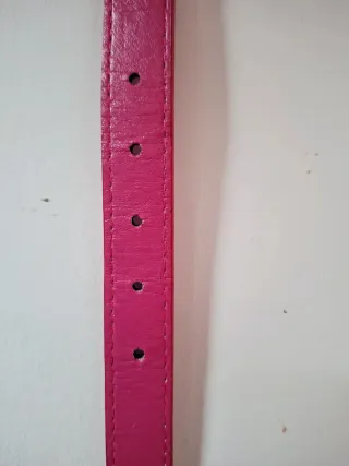 Correa para perro con tachuelas