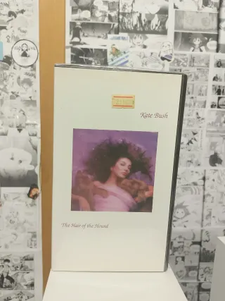 Kate Bush The Hair of the Hound VHS