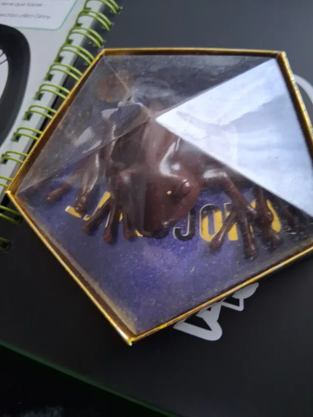 Lote Harry Potter y el Cáliz de Fuego