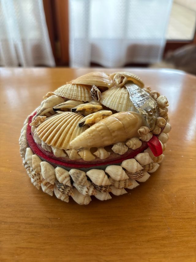 Portagioie conchiglie vere