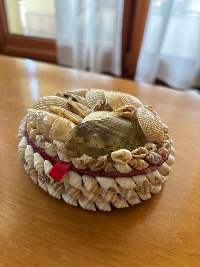 Portagioie conchiglie vere