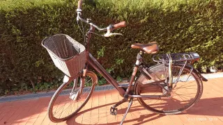 Bicicletas Holandesas