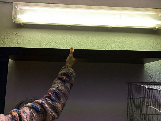 Estantería madera negra