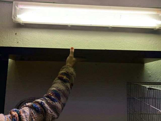 Estantería madera negra