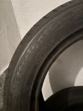 Neumático 205/55R16 EfficientGrip