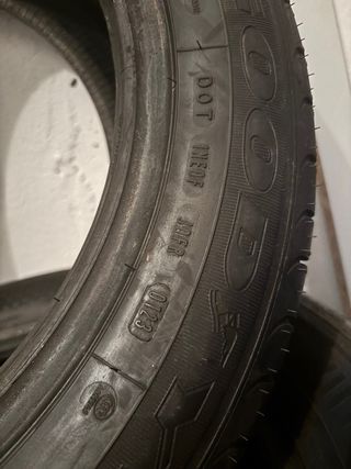 Neumático 205/55R16 EfficientGrip