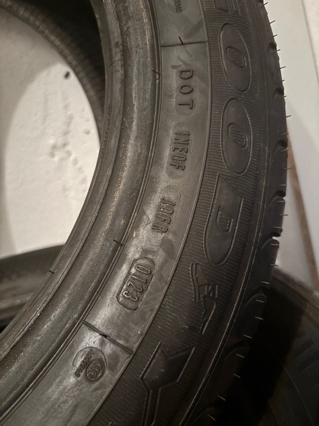 Neumático 205/55R16 EfficientGrip