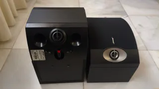 Altavoces Bose 301 Serie V (Negro)