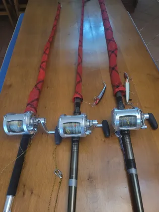 Avet EXW 50/2 com trençado 180lbs. Big Game