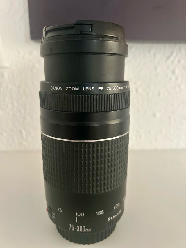 Objetivo Canon EF 75-300mm f/4-5.6