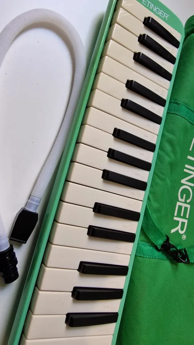 Melódica Etinger verde con funda