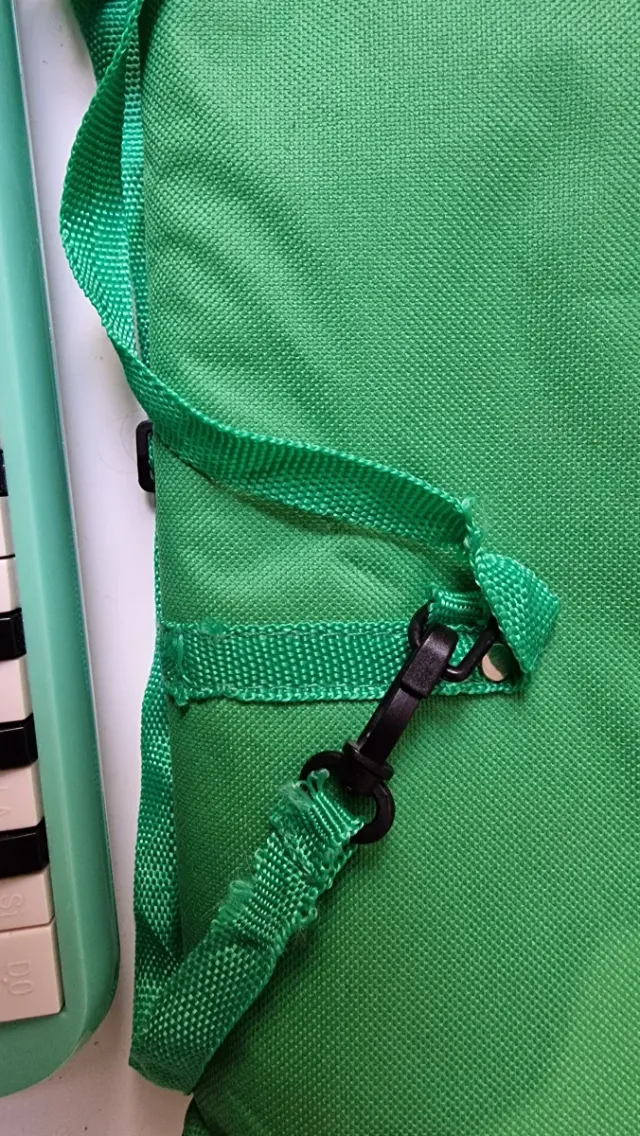 Melódica Etinger verde con funda