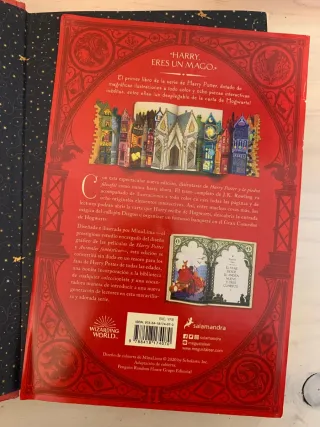 Harry Potter y la piedra filosofal (Ed. Minalim...